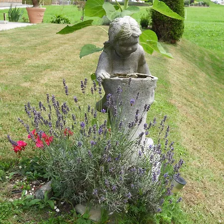 Hofbauer Farm stay