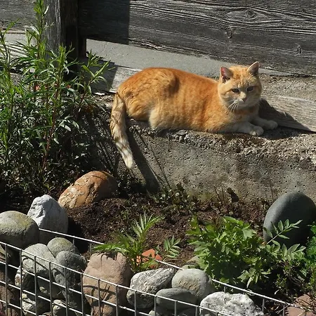 霍夫鲍尔农家乐 * 伊特尔