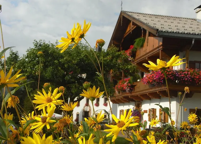 مزرعة للإقامة Hofbauer