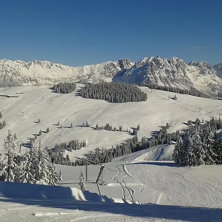 مزرعة للإقامة Hofbauer *